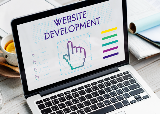 Şablon Web Tasarım vs Özel Web Tasarım