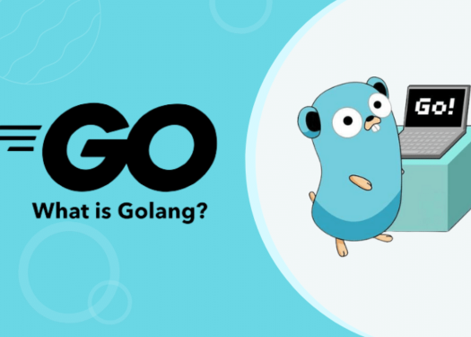 Go Programlama Dili Nedir?